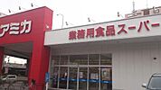 アミカ堀田店 317m