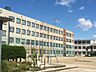 周辺：菊住小学校 1168m