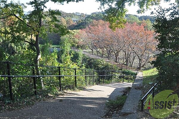画像27:奥須磨公園 2258m