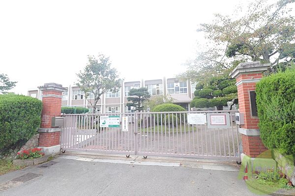 画像27:神戸市立道場小学校 1527m