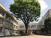 練馬区立田柄小学校 502m