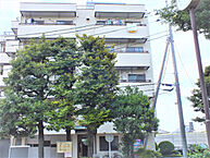 東京都練馬区春日町2丁目：物件画像／株式会社長太郎不動産　春日町駅前店
