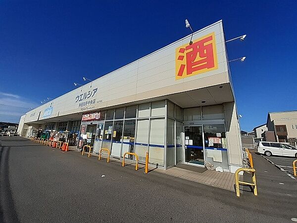 画像15:ウエルシア神栖知手中央店 3000m