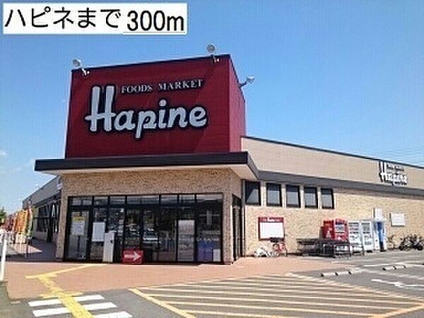 周辺：ハピネ 300m