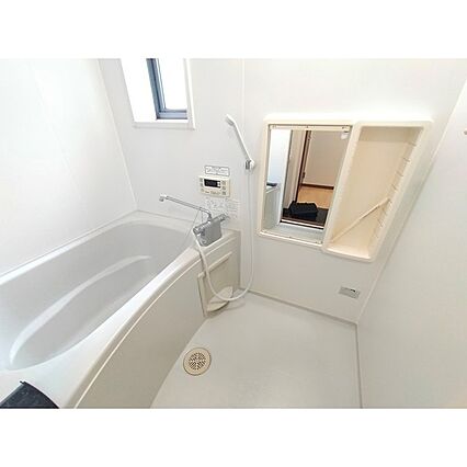 グリーンセイシェルN_その他_0