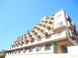 EFT牛田東