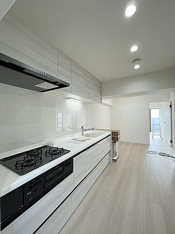 キッチン グリーンパーク西八王子 10階/-