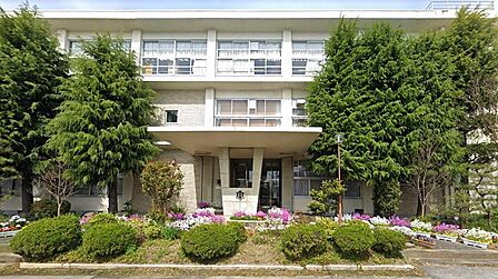 彦根市立城西小学校まで約400m