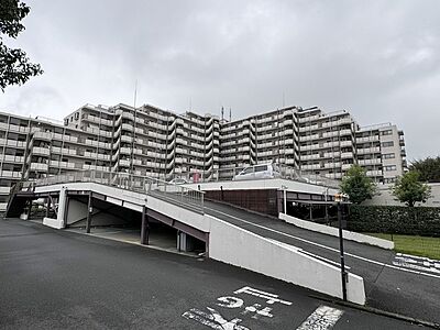 外観：総戸数162戸、広々とした敷地に立つ11階建てのマンションです。