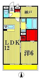 グレイス 1SLDKの間取図画像