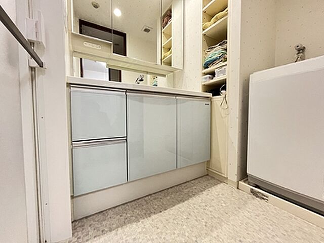 洗面 ガーデンホーム東雪谷 3階/-