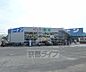 周辺：ホームセンターコーナン 枚方野村店まで605m
