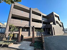 岡山県岡山市南区西市（賃貸マンション1LDK・1階・41.04㎡） その1