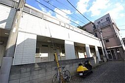 コートアオイ