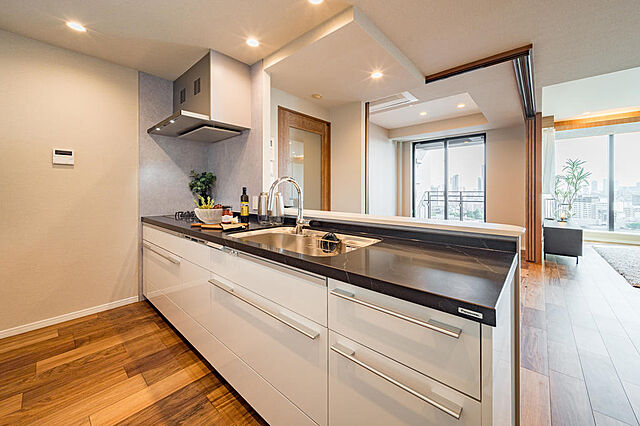 キッチン シティタワー麻布十番 19階/1905