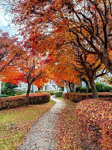 その他 グリーンヒル寺田87号棟 1階/-