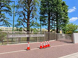 芦花小学校