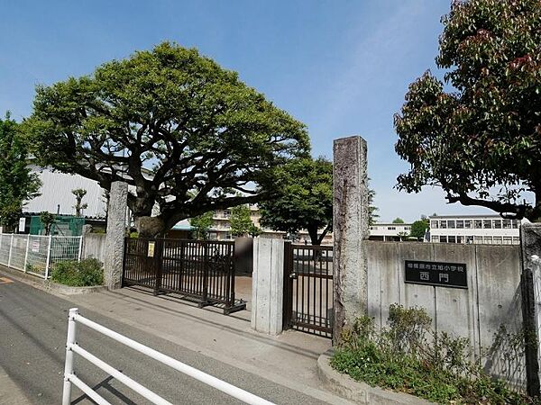 周辺を拡大表示
