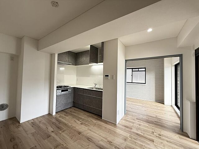 リビング/ダイニング ドラゴンマンション橋本七番館 2階/-