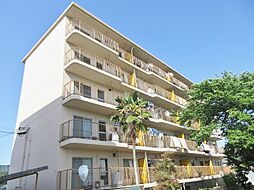 近江鉄道近江本線 水口城南駅 徒歩5分の賃貸マンション