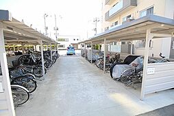 5 / 20