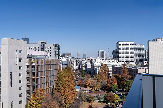 その他 クリオ築地川公園 11階/-