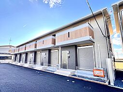 Cherry Blossom（チェリーブロッサム）　　A