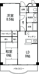 ヴィラ エーデルワイス 3階/303