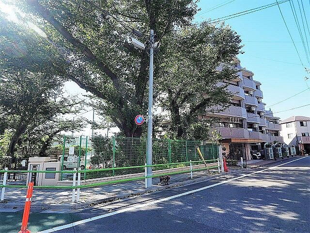 その他 レーベンハイム東武練馬 1階/新規内装リフォーム物件