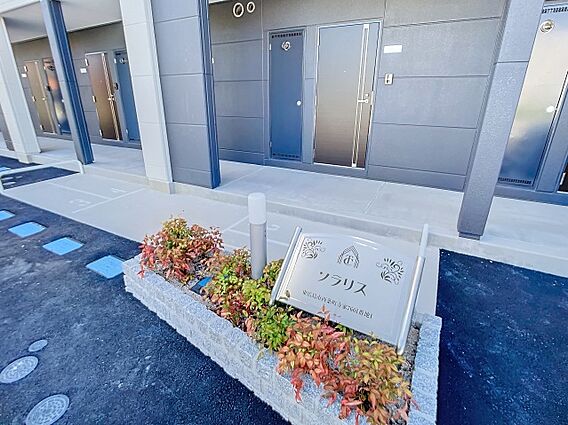 ソラリス_その他_8