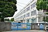 周辺：小学校 中野区立　南台小学校 227m