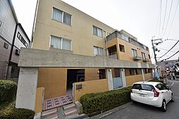 ハセはなみずき