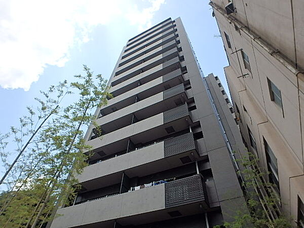 ウィルヴェール東十条 301｜東京都北区東十条2丁目(賃貸マンション1LDK・3階・45.94㎡)の写真 その1