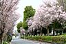 周辺：【東原さくら公園】350ｍ　たくさんの種類の遊具があり、子供たちに人気の公園です。また、広場のようなスペースもあり、ここでお弁当を食べたりする親子も見られます。