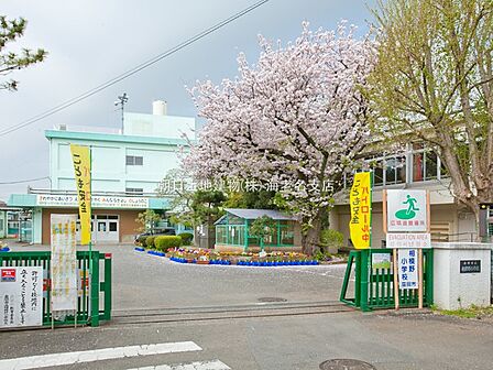 【座間市立相模野小学校】210m 周りは住宅街で人の目も多く車がたくさん通るような道ではないので、安全です。校庭も広々しています。