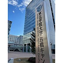 ロイヤルパーク五橋 502 ｜ 宮城県仙台市青葉区五橋1丁目（賃貸マンション1R・5階・24.51㎡） その22