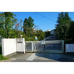 小学校「仙台市立桜丘小学校まで548ｍ」