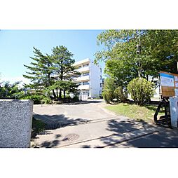 小学校「仙台市立小松島小学校まで716ｍ」