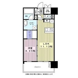セントフィールド榴ヶ岡アネックス 1LDKの間取図画像