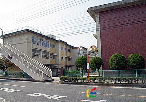 画像24:鍋島小学校 