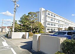 ピュアー