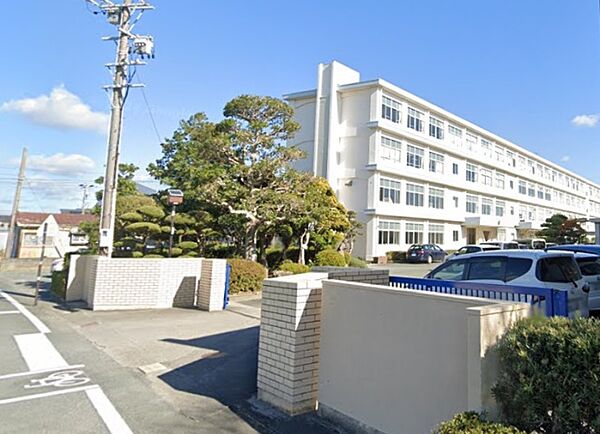 ピュアー