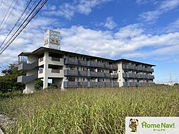 シャローム山城