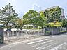 周辺：小学校 530m 吉川市立栄小学校