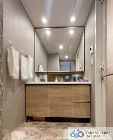 洗面 レーベン守谷THE SQUARE 5階/-