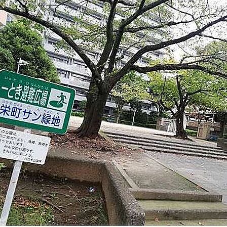 緑地第2号栄町サン緑地 徒歩0分。 1m