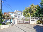 小学校 590m 練馬区立富士見台小学校