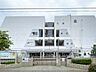 周辺：中学校 550m 足立区立六月中学校