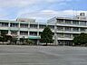 周辺：小学校 1600m 所沢市立富岡小学校