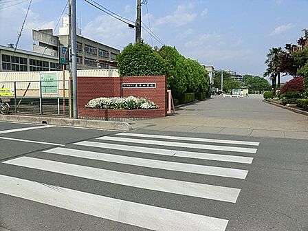 小学校 560m さいたま市立泰平小学校